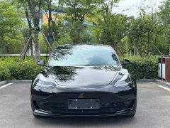 Tesla Model 3 facelift standard range rear drive upgraded version 3D1 - фото 2