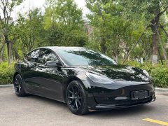 Tesla Model 3 facelift standard range rear drive upgraded version 3D1 - фото 3