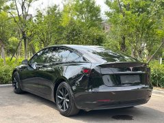Tesla Model 3 facelift standard range rear drive upgraded version 3D1 - фото 7