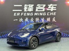 Tesla Model Y rear-wheel drive version - фото 1