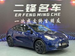 Tesla Model Y rear-wheel drive version - фото 3