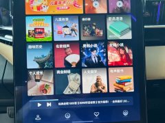 Geely Boyue L 1.5TD DCT premium - фото 11