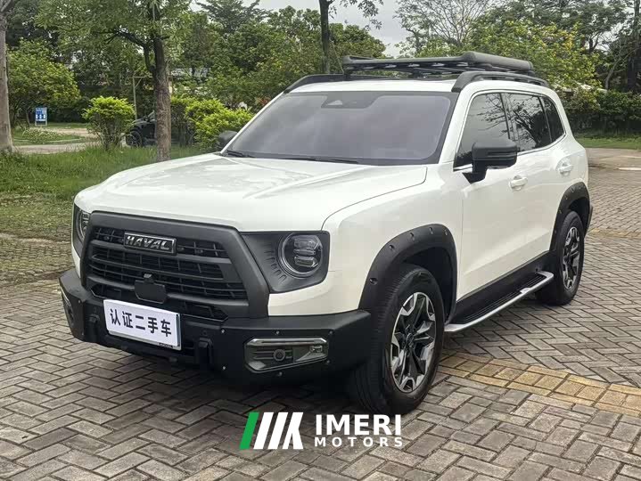Havaldog 2022 2.0T DCT four-wheel drive Chinese pastoral dog hunting version - автомобиль из Китая