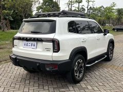 Havaldog 2022 2.0T DCT four-wheel drive Chinese pastoral dog hunting version - фото 11
