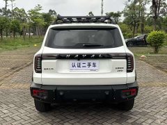 Havaldog 2022 2.0T DCT four-wheel drive Chinese pastoral dog hunting version - фото 12