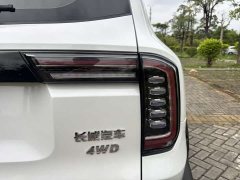 Havaldog 2022 2.0T DCT four-wheel drive Chinese pastoral dog hunting version - фото 15
