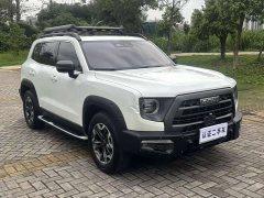 Havaldog 2022 2.0T DCT four-wheel drive Chinese pastoral dog hunting version - фото 3