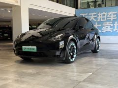 Tesla Model Y 2022 facelift, long-range all-wheel drive version - фото 1