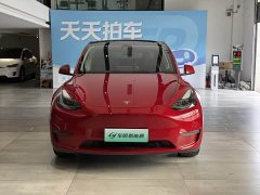 Tesla Model Y long-range all-wheel drive version - фото 2