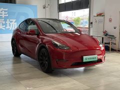 Tesla Model Y long-range all-wheel drive version - фото 3