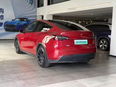 Tesla Model Y long-range all-wheel drive version - фото 7