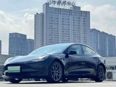 Tesla Model 3 2022 rear-wheel drive version - фото 1