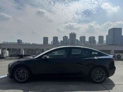Tesla Model 3 2022 rear-wheel drive version - фото 4