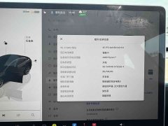 Tesla Model 3 2022 rear-wheel drive version - фото 6