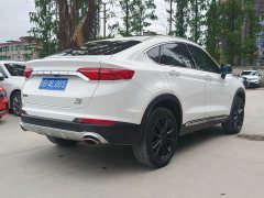 Geely Xingyue 2020 high-energy version 300T Star Shiner - фото 12