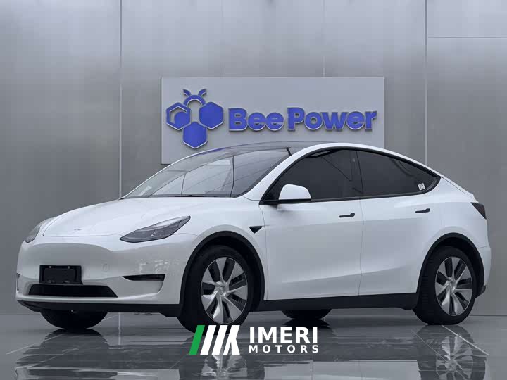 Tesla Model Y rear-wheel drive version - автомобиль из Китая