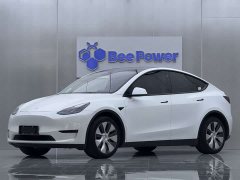 Tesla Model Y rear-wheel drive version - фото 1