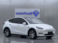 Tesla Model Y rear-wheel drive version - фото 2