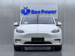 Tesla Model Y rear-wheel drive version - фото 3