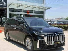 Voyah Lantu Dreamer 2022 Low Carbon Version Dream Smart Package - фото 3