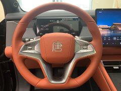 BYD Tang L DM 175KM Drone Edition - фото 13