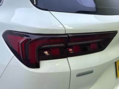 Lynk & Co Lingrui 2022 EcoBoost 170 platinum collar type - фото 11
