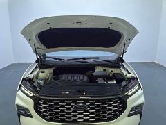 Lynk & Co Lingrui 2022 EcoBoost 170 platinum collar type - фото 12