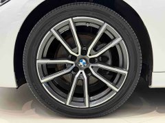 BMW 3 Series facelift 320Li M Sports Package - фото 19