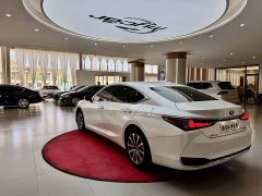 Lexus ES 2023 200 Deluxe Edition - фото 7