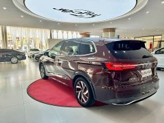 Lexus Weiran 330TSI Deluxe Edition - фото 6