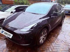 Tesla Model Y rear-wheel drive version - фото 1