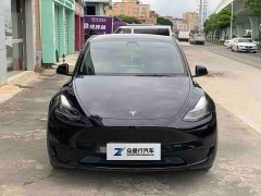 Tesla Model Y rear-wheel drive version - фото 2