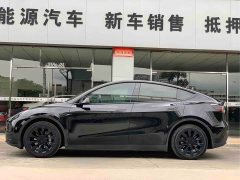 Tesla Model Y rear-wheel drive version - фото 3