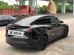 Tesla Model Y rear-wheel drive version - фото 5