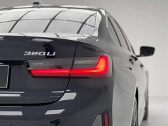 BMW 3 Series 320Li M Sport Package - фото 10