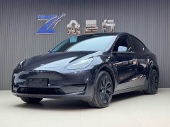 Tesla Model Y rear-wheel drive version - фото 1