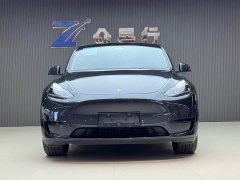 Tesla Model Y rear-wheel drive version - фото 2