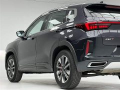 EXEED Zhuifeng 2025 1.5T CVT Good Fortune Edition - фото 10