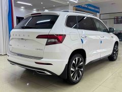 Lexus Korok 2022 TSI280 Premium Edition - фото 6
