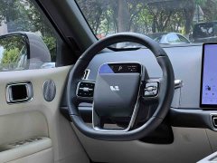 Li Auto Ideal L6 Pro - фото 14