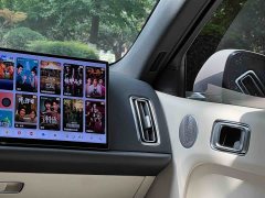 Li Auto Ideal L6 Pro - фото 16