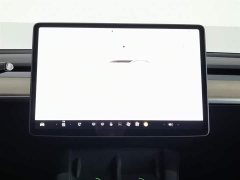 Tesla Model 3 2022 rear-wheel drive version - фото 12