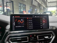 BMW X3 xDrive25i M Sports Package - фото 15