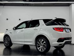 Lexus Discovery Sport 2022 249PS R-Dynamic S Performance Edition 5-seater - фото 13