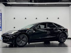 Tesla Model 3 2022 rear-wheel drive version - фото 1