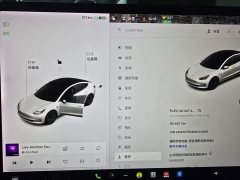 Tesla Model 3 Standard Range Rear Drive Upgraded Version - фото 16