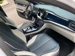 BYD Qin PLUS 2021 EV 400KM luxury - фото 14
