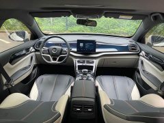 BYD Qin PLUS 2021 EV 400KM luxury - фото 19