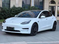 Tesla Model 3 Standard Range Rear Drive Upgraded Version - фото 1