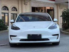 Tesla Model 3 Standard Range Rear Drive Upgraded Version - фото 2